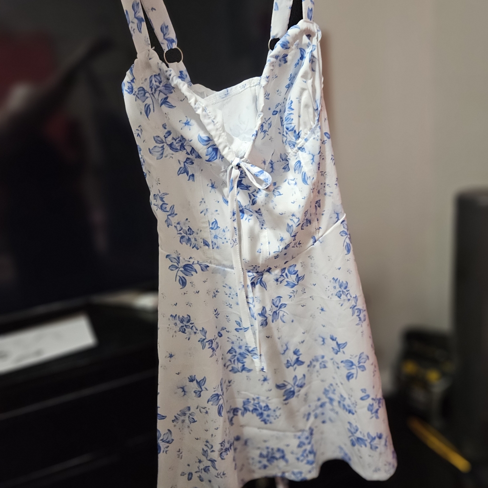 Floral Blue and White Dress